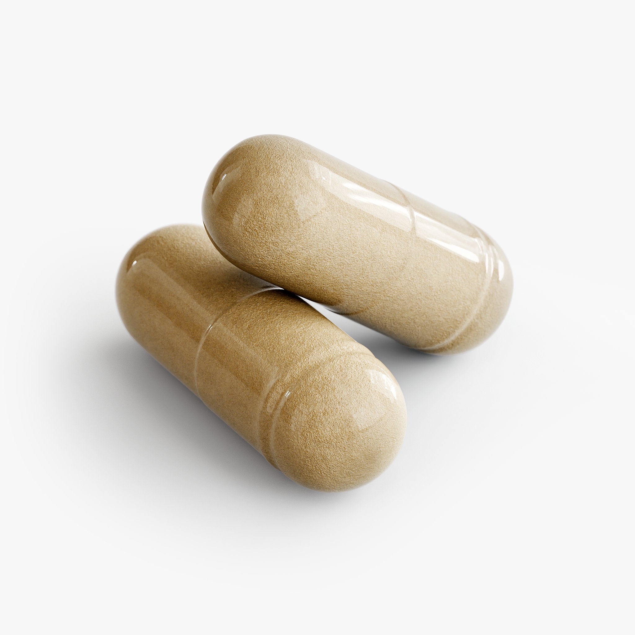 Tree of Life Moringa