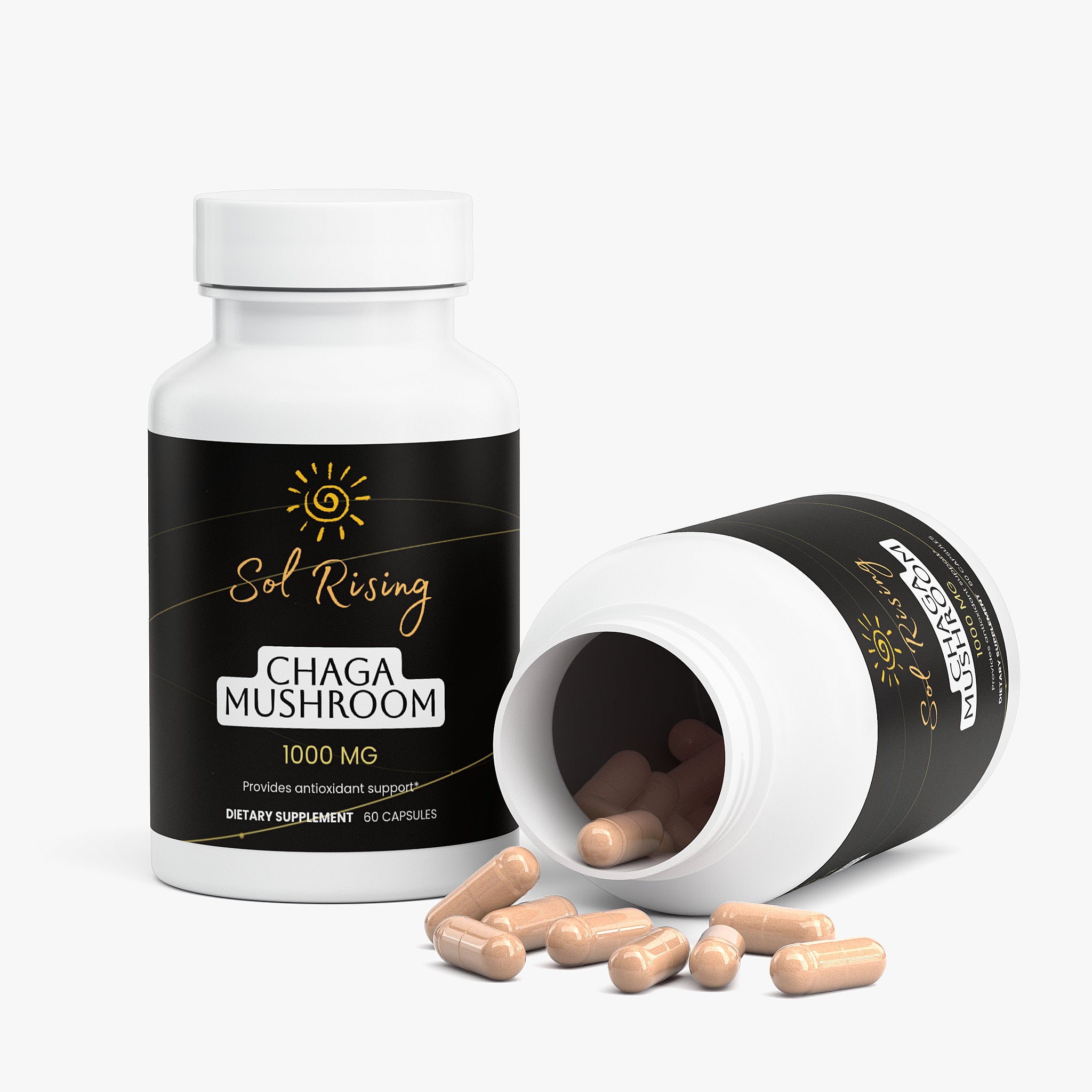 Chaga Mushroom