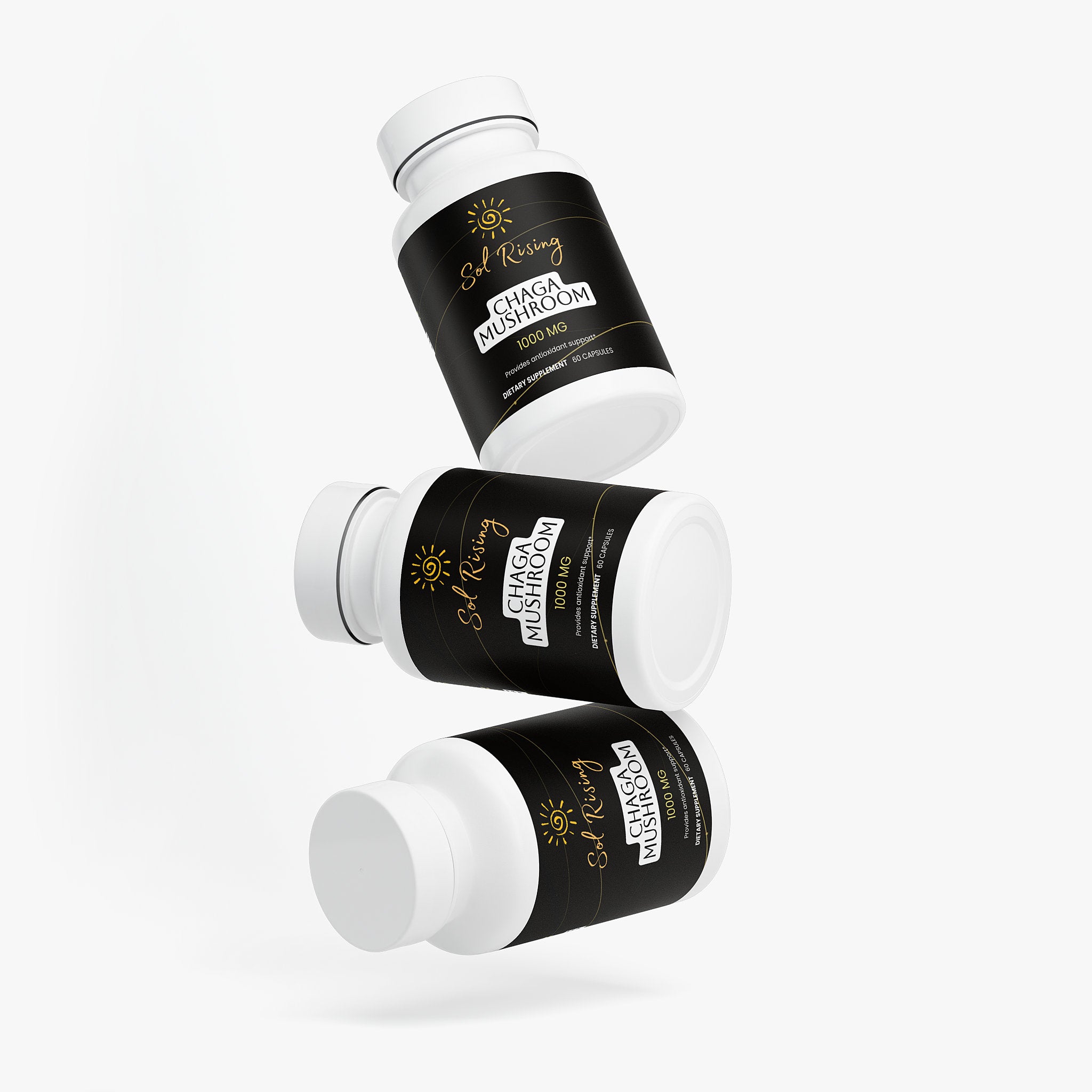Chaga Mushroom